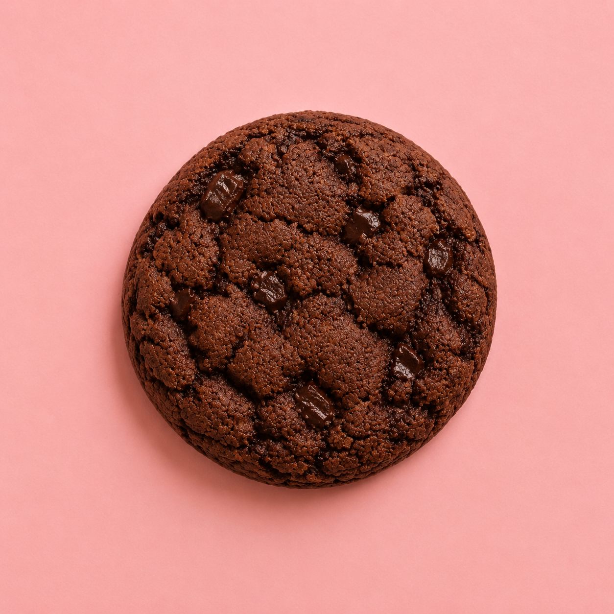 Double Chocolate Cookie